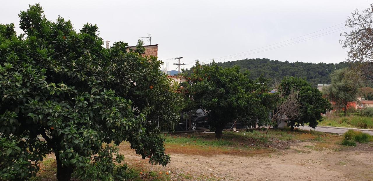 Walnut Home Apartment Near Ancient Olympia Kréstena Eksteriør billede